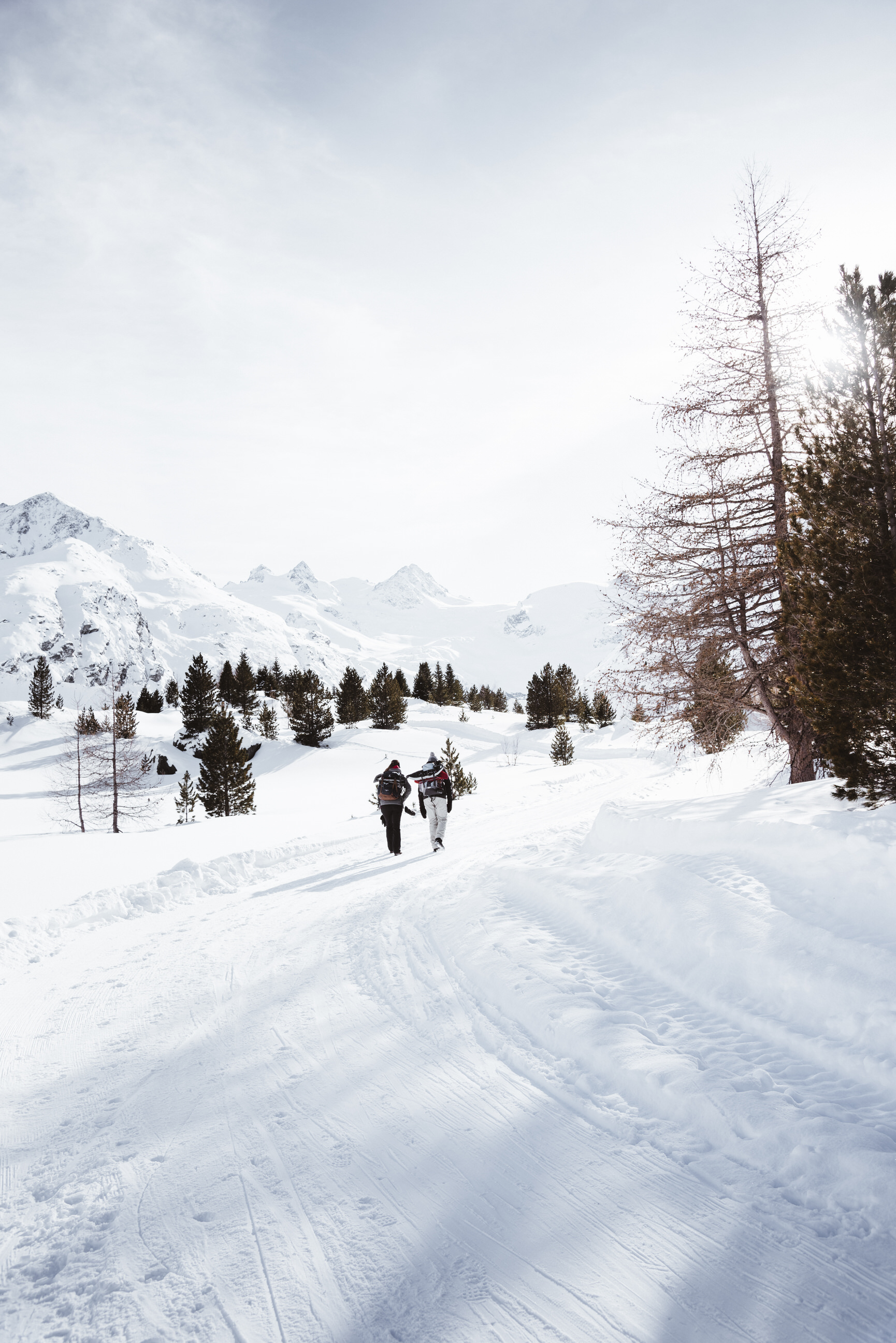 photo of winter snowshoe